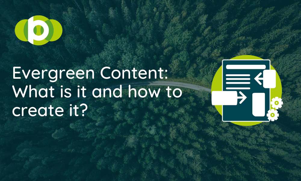 Blog - Evergreen Content For SEO Guide