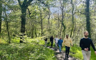 Embracing Mental Health Awareness Week at Broadplace: A Stroll Through Nature